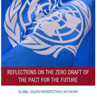 Reflections on the Zero Draft of the Pact for the&nbsp;Future